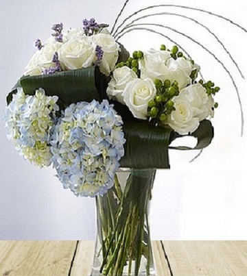 Hydrangea Twist